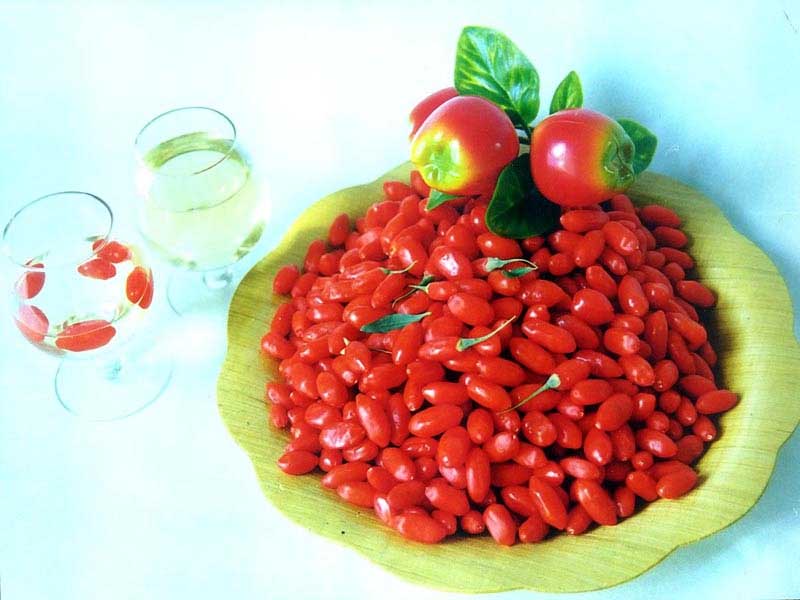 建议:久对电脑者吃枸杞