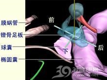 阿斯匹林不耐受三联症