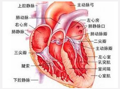 阿斯综合征
