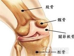 髌骨不稳定