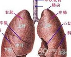 闭锁肺综合征