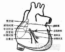 β受体亢进症