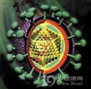 丙型肝炎病毒感染与肾小球肾炎