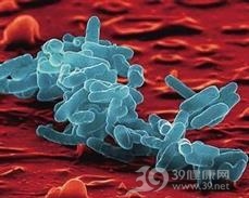 肠杆菌肺炎