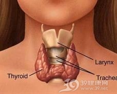 产后甲状腺炎