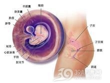 成人全垂体功能减退