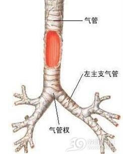 喘息样支气管炎