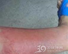 赤游丹