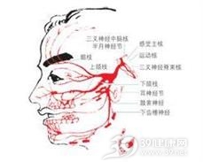 淀粉样变性周围神经病