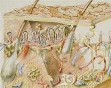 敌鼠中毒