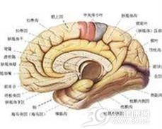 额颞痴呆