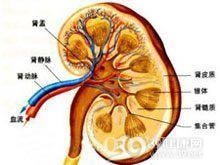 恶性高血压性小动脉性肾硬化