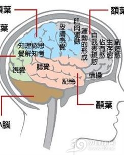 额叶癫痫
