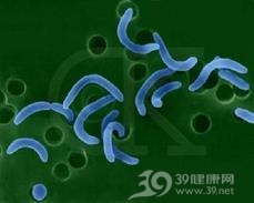 非霍乱弧菌感染