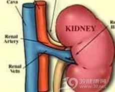 放射性肾炎