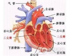 房性期前收缩