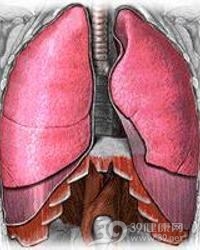 肺芽生菌病