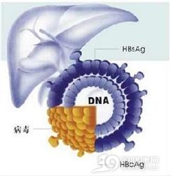 肝豆状核变性伴发的精神障碍