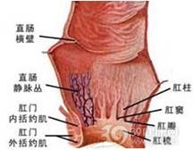 肛乳头炎