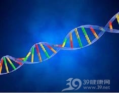 骨髓-胰腺综合征