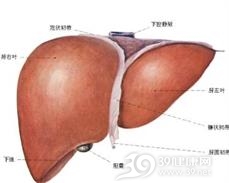 肝肾综合征