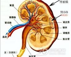 混合型肾小管性酸中毒