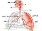 呼吸性碱中毒