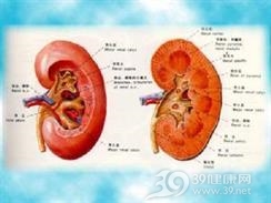 I型肾小管性酸中毒