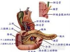 结肠血管畸形