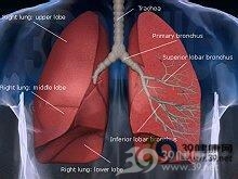 军刀综合征
