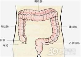 假膜性肠炎