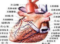 急性肠系膜上静脉血栓形成