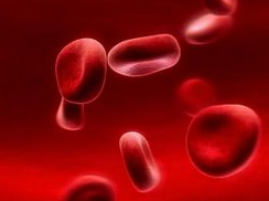 甲状腺功能减低所致贫血