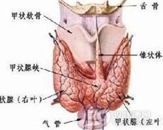 甲状腺功能减退伴发的精神障碍