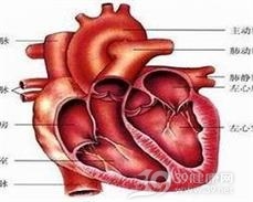 甲状腺功能亢进性心肌病