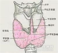 甲状腺功能亢进症的肾损害