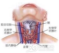 静止性淋巴细胞性甲状腺炎