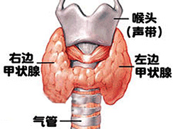 甲状腺瘤