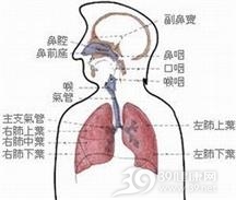 流行性出血热