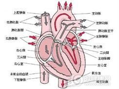 莱姆心脏炎