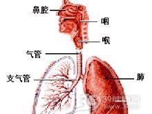 老年肺炎