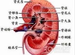 锂肾病