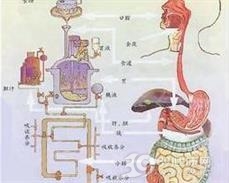 慢性便秘