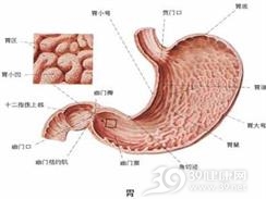 慢性糜烂性胃炎