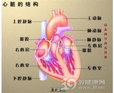 慢性自律性房性心动过速