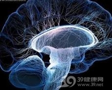 脑死亡
