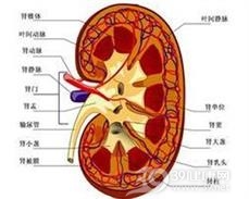 农药中毒性肾病