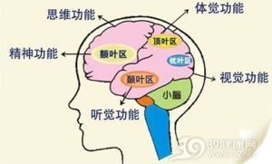 脑真菌性肉芽肿