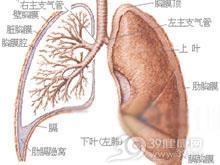 热带性肺嗜酸粒细胞浸润症