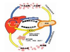 乳酸性酸中毒